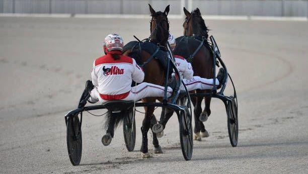 Pronostics hippiques d’Hervé Fortin pour le Quinté du jeudi 8 janvier à Cagnes-sur-Mer