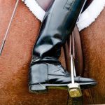 Quinté à Pau du mercredi 7 janvier : les pronostics hippiques d'Hervé Fortin - ICI