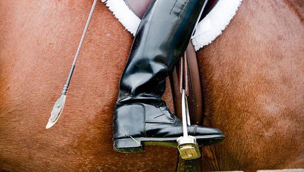 Pronostics hippiques d’Hervé Fortin pour le Quinté du mercredi 7 janvier à Pau