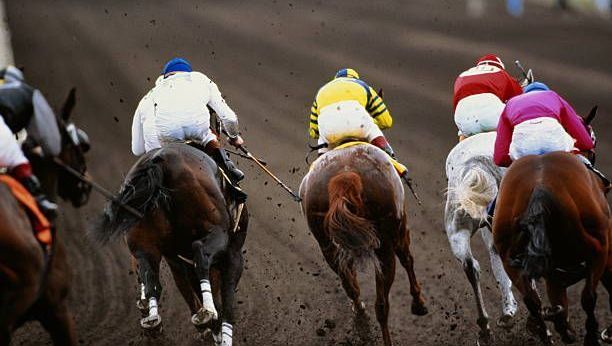 Pronostics hippiques d’Hervé Fortin pour le Quinté du vendredi 2 janvier à Deauville