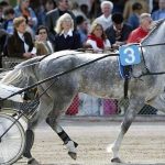 Quinté à Paris- Vincennes du jeudi 1er janvier : les pronostics hippiques d'Hervé Fortin - ICI