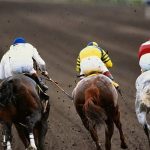 Quinté à Deauville du vendredi 23 janvier : les pronostics hippiques d'Hervé Fortin - ICI