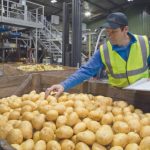 Vitalis spécialiste du conditionnement et du négoce de pommes de terre - ICI