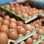 La dermatose nodulaire prive le salon de l’Agriculture de ses vaches