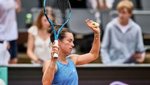 illustration agrandir l