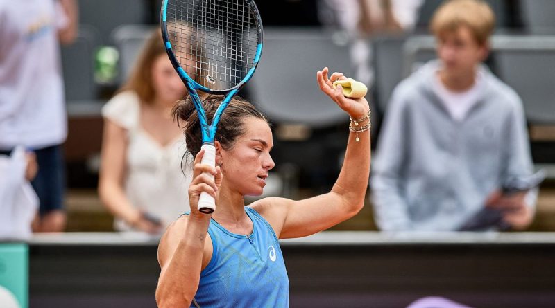 illustration agrandir l