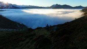 illustration agrandir l