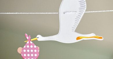 illustration agrandir l