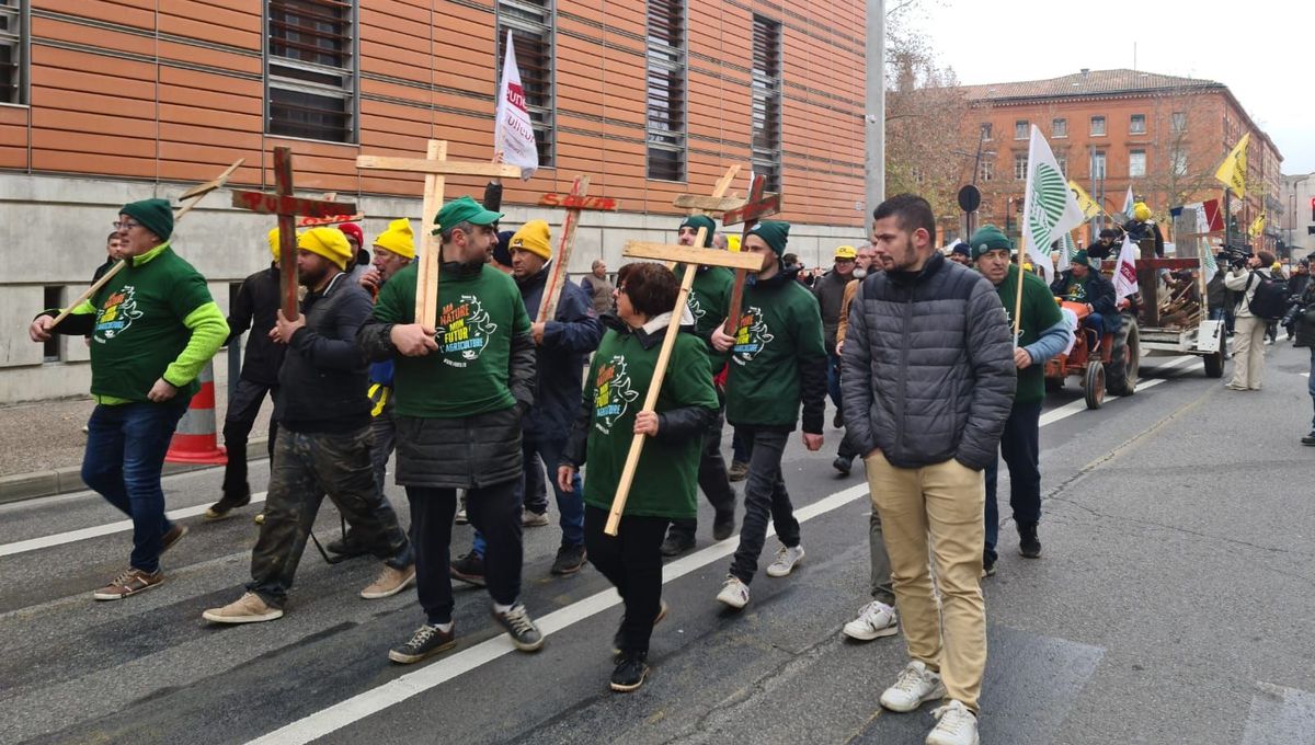 Crise agricole : près de 120 agriculteurs manifestent dans les rues de Toulouse ce samedi matin