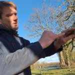 illustration agrandir l