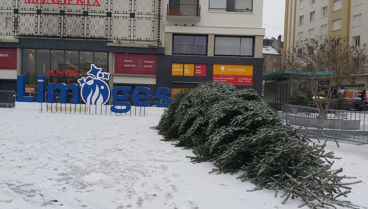 Neige et verglas : point sur la situation en Haute-Vienne et Corrèze aujourd’hui