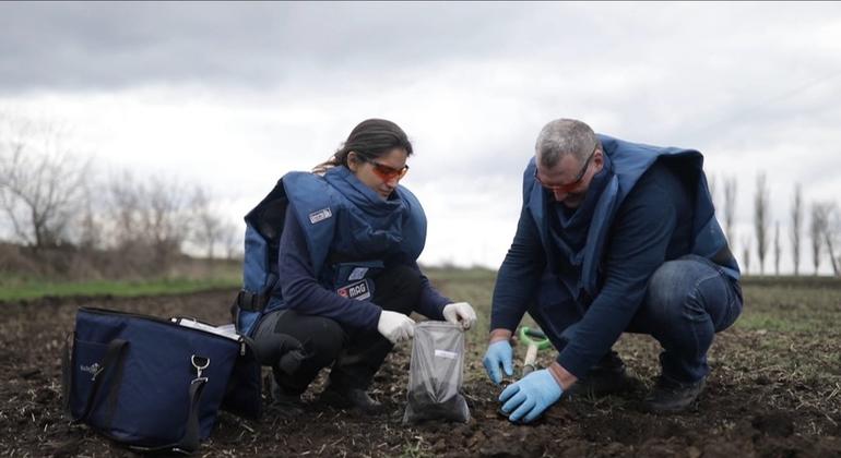 Ukraine : la FAO présente son plan de relèvement agricole après les ravages de la guerre