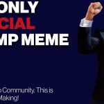 2025 s’annonce difficile pour les memecoins selon Le Temps