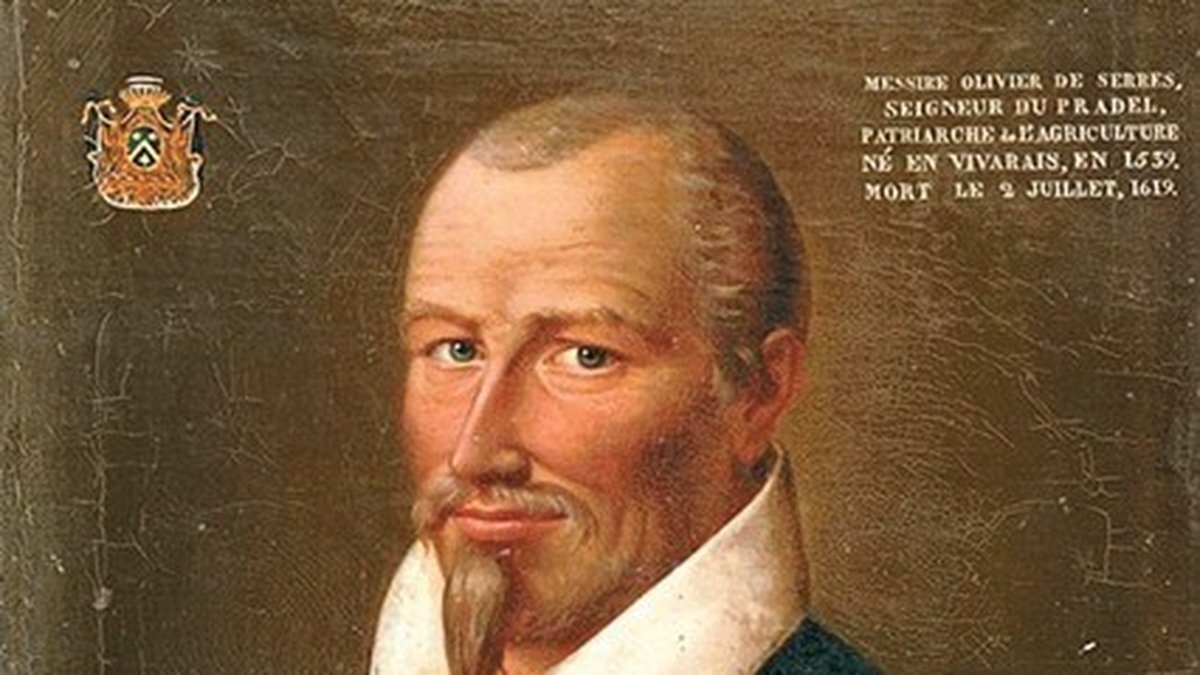 Principauté d’Orange et castrum de Planitium : Rhodanie explore l’histoire sous divers angles