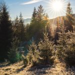 Météo : vigilance orange neige-verglas dans deux départements, soleil prévu en Méditerranée dimanche