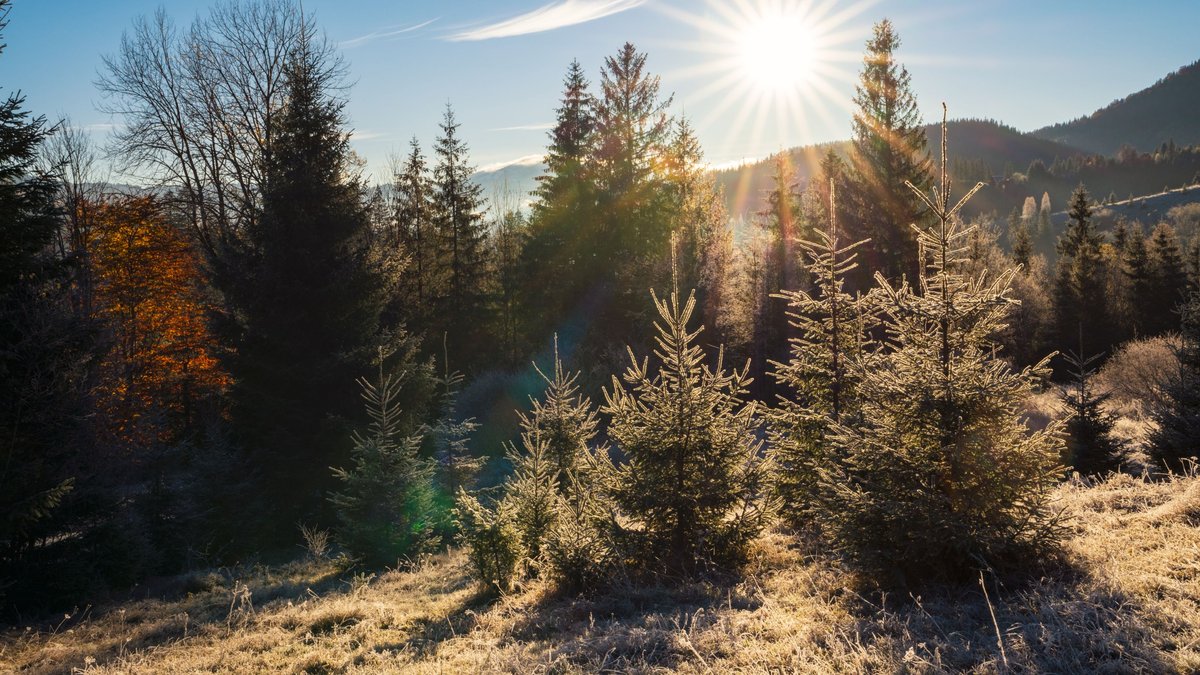 Météo : vigilance orange neige-verglas dans deux départements, soleil prévu en Méditerranée dimanche