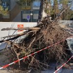 Colère des agriculteurs : Deux grands tas de branchages et de terre déposés devant le centre des impôts de Bagnols-sur-Cèze