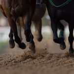 Quinté à Cagnes-sur-Mer du mercredi 14 janvier : les pronostics hippiques d'Hervé Fortin - ICI