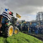 illustration agrandir l