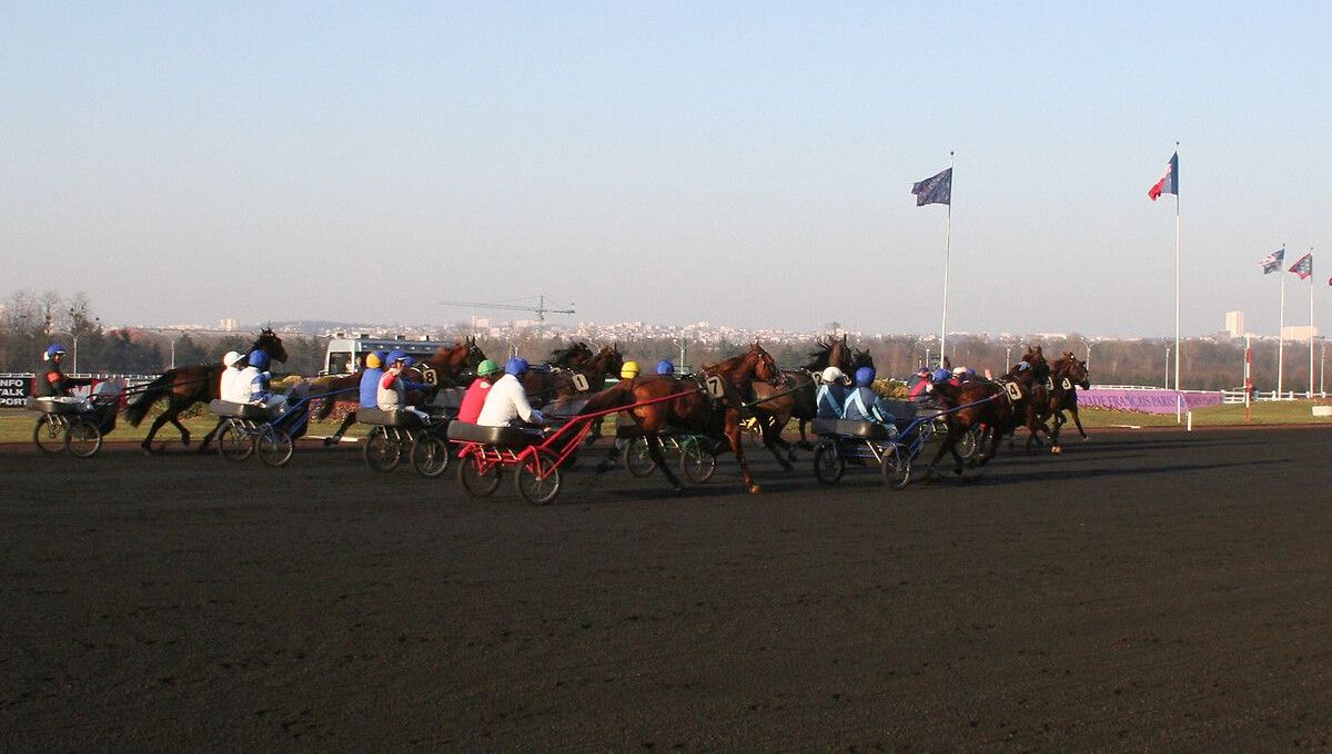 Pronostics hippiques du mardi 20 janvier 2026 : ICI Picardie dévoile ses analyses