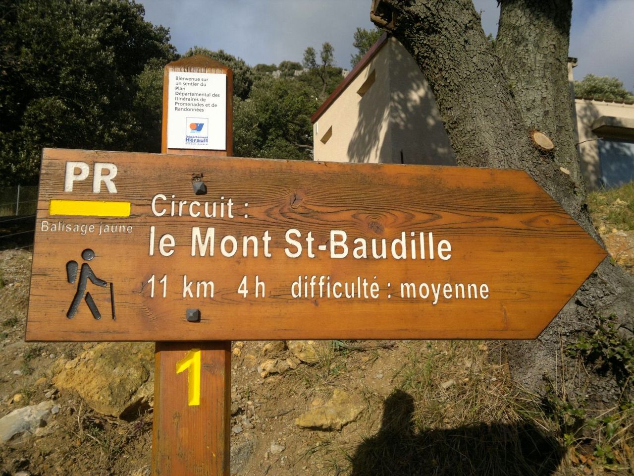 illustration agrandir l'image