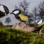 illustration agrandir l