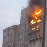 illustration agrandir l