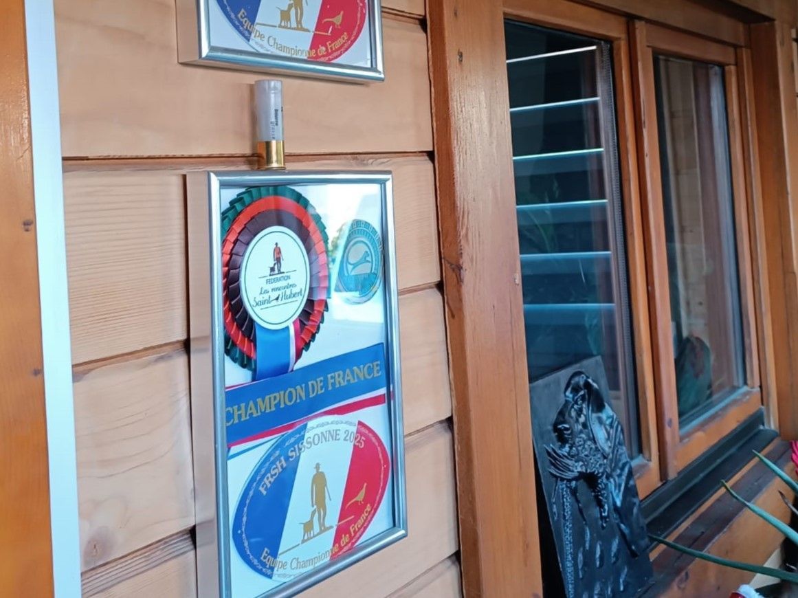 illustration agrandir l'image