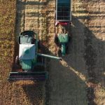 Mercosur : les pesticides brésiliens menacent-ils la sécurité alimentaire en Europe ?