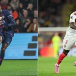 illustration agrandir l