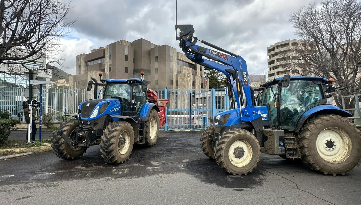 Mobilisation de la FDSEA de Haute-Corse : statu quo après la rencontre avec le ministère