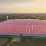 À Isigny-le-Buat, les serres à tomates au cœur du débat sur l’agriculture
