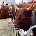 « La transition agricole : un enjeu industriel à considérer sérieusement »