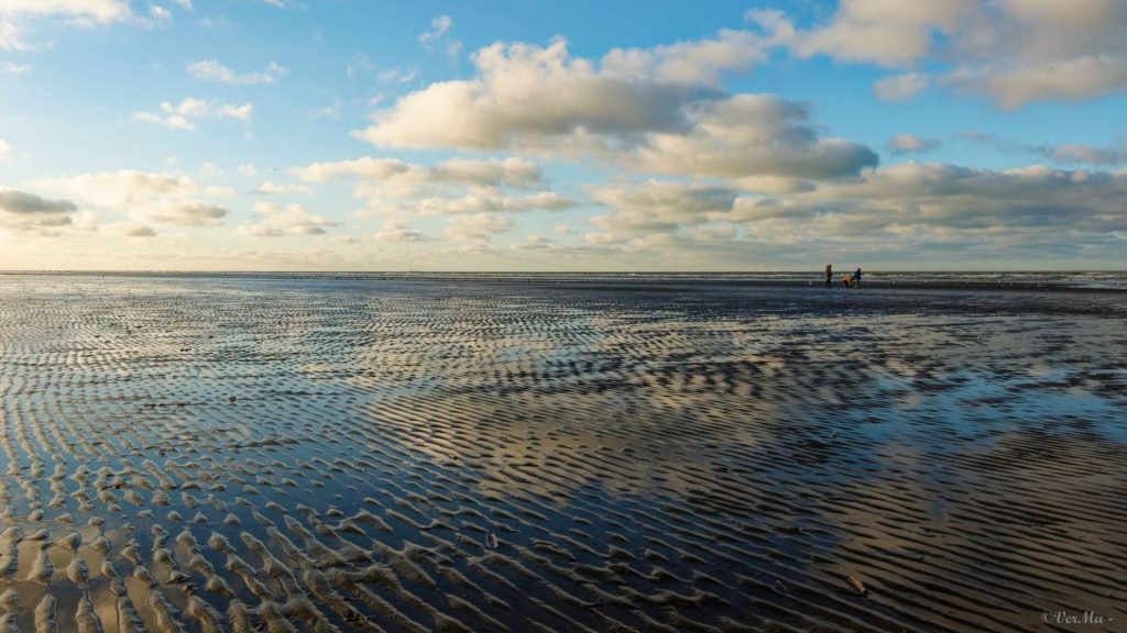2025 : des contrastes climatiques marqués selon RTBF Actus