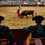 Corrida. La mort du toro, « un scandale ? » non, « un moment de vérité »