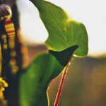 Photos365 : un an de photos quotidiennes par Yoan Bernabeu