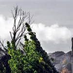 Baisse des émissions de gaz à effet de serre : pourquoi le ralentissement en France ?