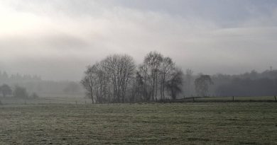 Météo en Belgique : un front pluvio-neigeux traverse le pays en ce premier jour de l’année