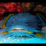 29 : Un chiffre qui change tout