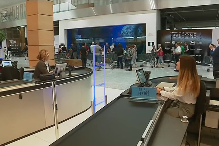 Polémique autour des requins du magasin Leclerc de Baleone : un transfert d'Océanopolis qui fait des vagues