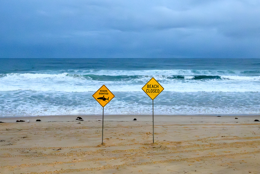 Australie : un adolescent décède après une attaque de requin en baie de Sydney