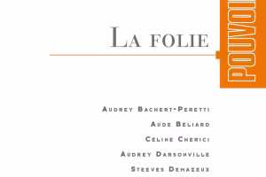 La folie à travers le regard des sciences humaines : une exploration de ses multiples facettes