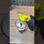 5 marinades BBQ incontournables pour le poulet !