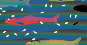 Dans les aquariums chinois, des vies en souffrance