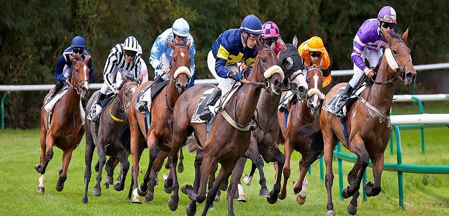 Pronostics hippiques du 06/01/26 : analyse et conseils pour les courses du jour