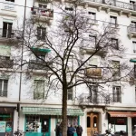 Rénover sans expulser : l'éditorial sur le projet Carl-Vogt