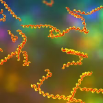 Explosion des cas de syphilis en Argentine, aggravée par des coupes budgétaires