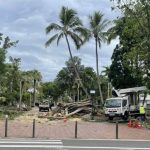 Un banian s’effondre place de la Paix