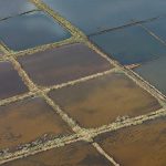 8K views · 156 reactions | 🧡𝙋𝙖𝙘𝙞 𝙚̀ 𝙨𝙖𝙡𝙪𝙩𝙖 𝙥𝙖̀ 𝙪 2026 ! | Cità di Portivechju