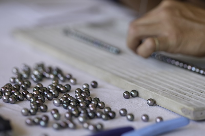 La Polynésie maintient sa stabilité économique, mais l’exportation reste en difficulté